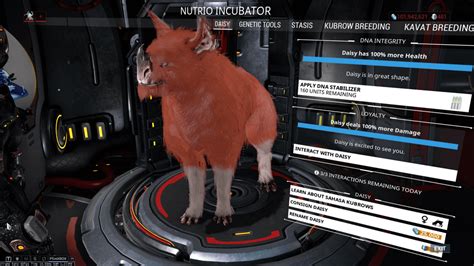 omega sized kubrow reddit